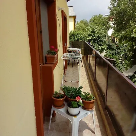 Gasthuis Vila Cornea